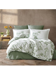 MASS V2